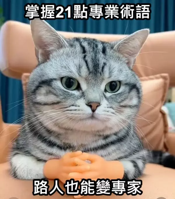 掌握21點專業術語,路人也能變專家 掌握21點專業術語,路人也能變專家