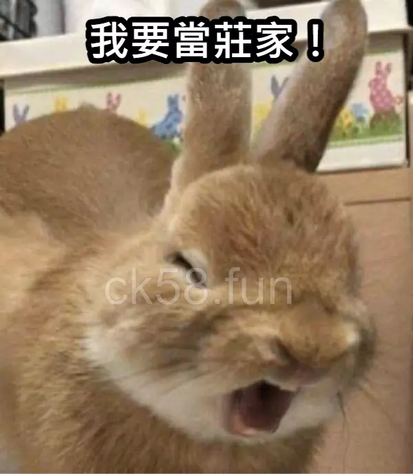 資深玩家都懂得要搶得當莊家 資深玩家都懂得要搶得當莊家