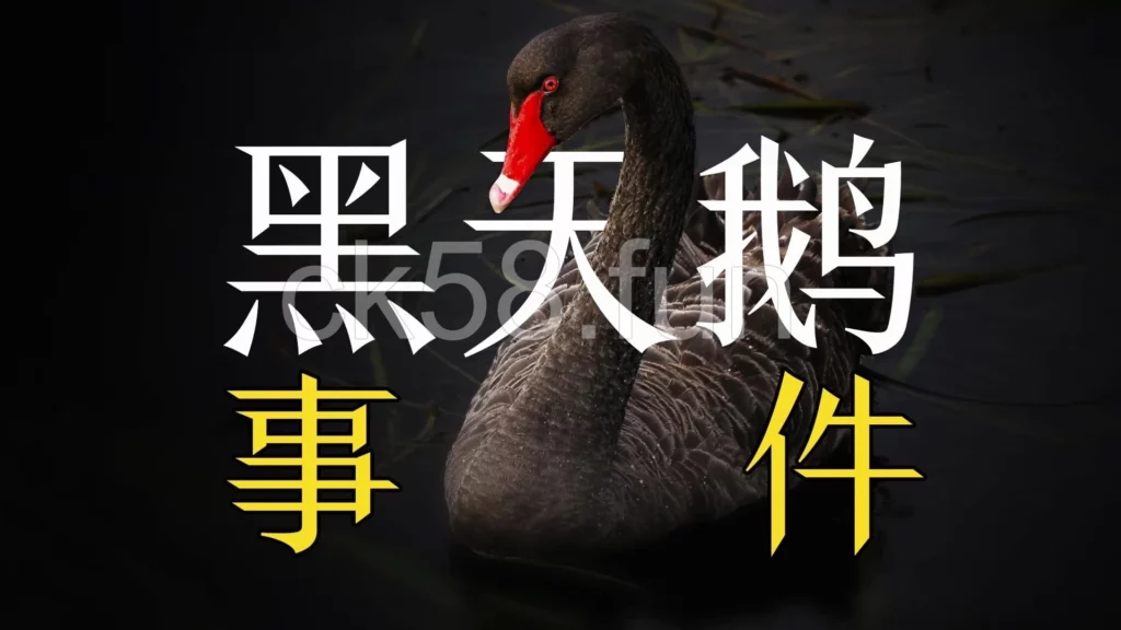 黑天鵝事件往往一發生就損失慘重