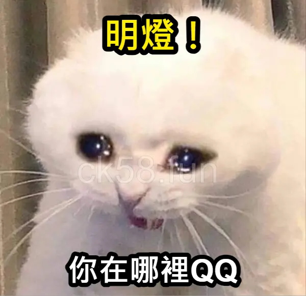 明燈太難找？小編告訴你看燈投注法訣竅