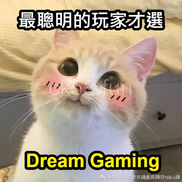 最聰明的玩家才選Dream Gaming！