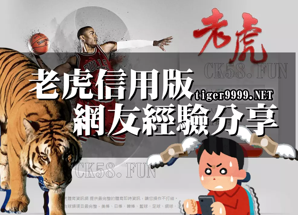 老虎信用版網友經驗分享