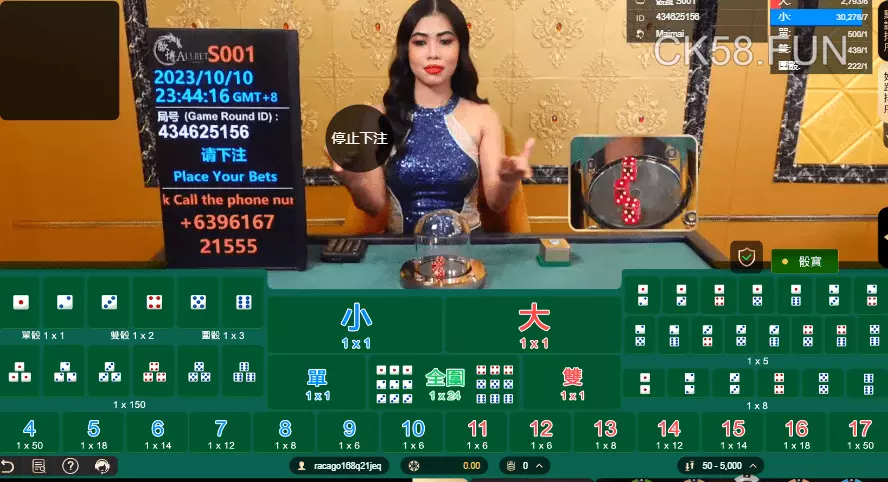 排列組合讓骰寶玩法多變且賠率高