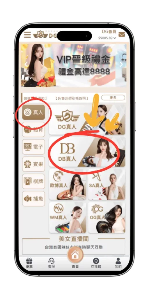 找到DB真人 找到DB真人